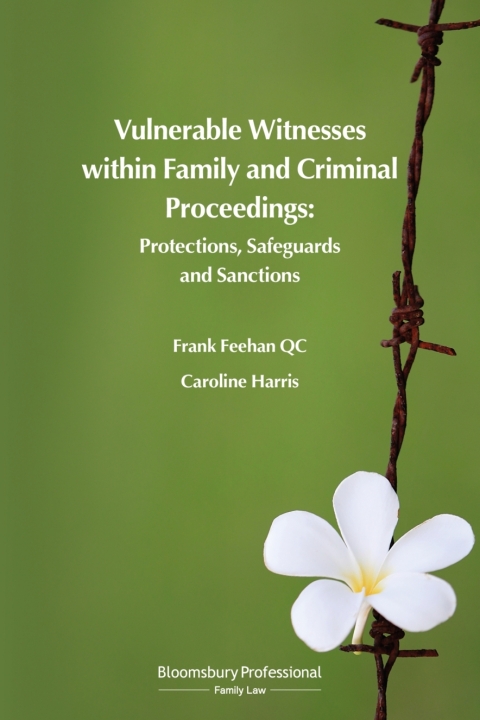 Vulnerable Witnesses within Family and Criminal Proceedings 