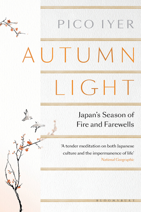 Autumn Light 