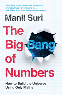 Cover image: The Big Bang of Numbers 1st edition 9781526622952