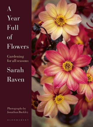 A Year Full of Flowers