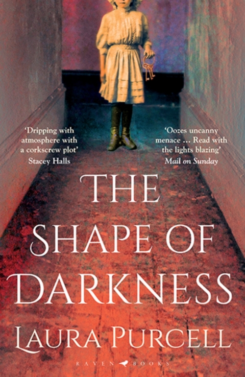 The Shape of Darkness 