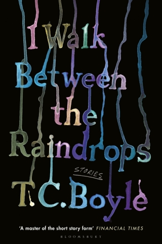 I Walk Between the Raindrops