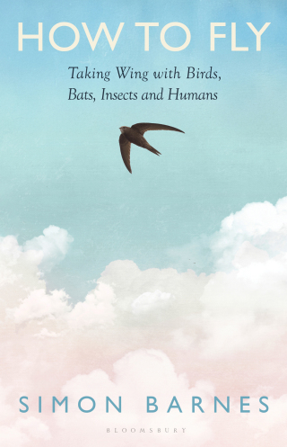 How to Fly