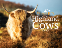 صورة الغلاف: Villager Jim's Highland Cows 9781526706836