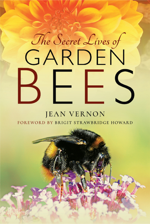 Cover image for book The Secret Lives of Garden Bees