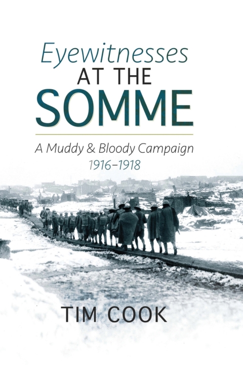 Cover image for book Eyewitnesses at the Somme