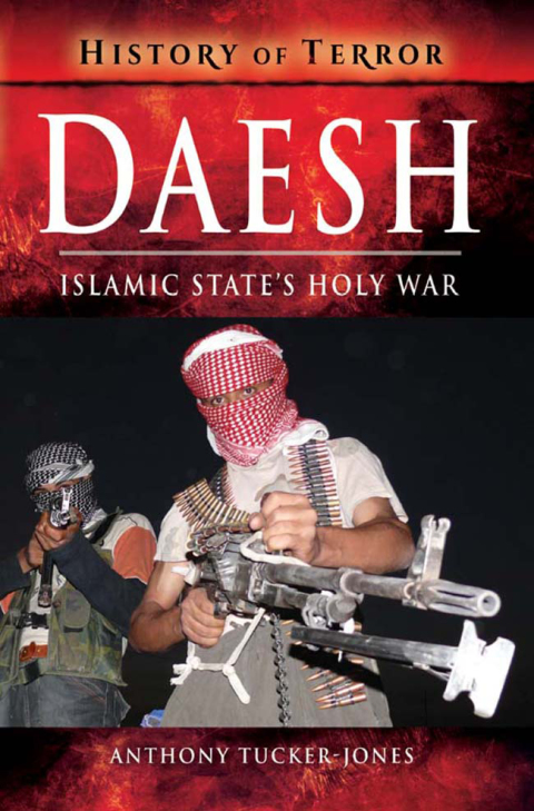 Cover image for book Daesh