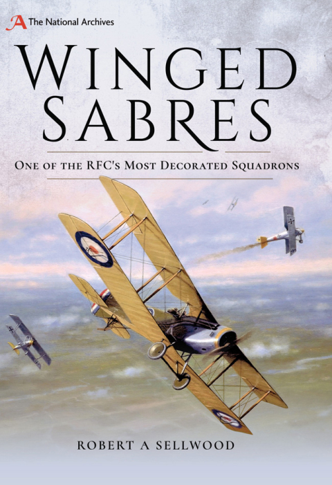 Cover image for book Winged Sabres