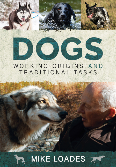 Cover image for book Dogs