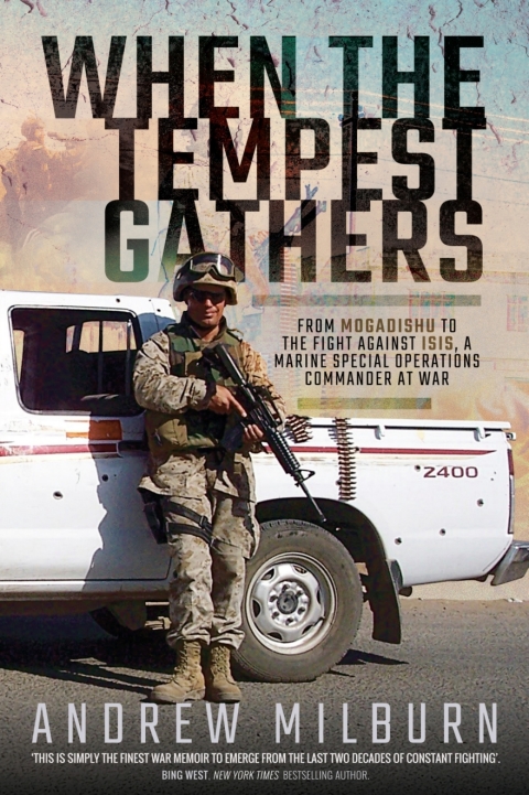 Cover image for book When the Tempest Gathers