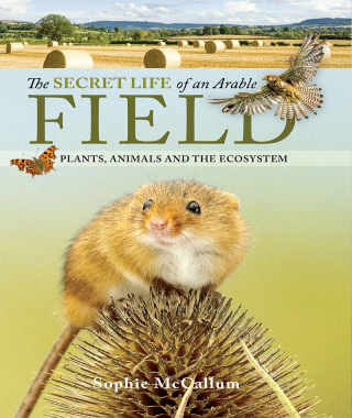The Secret Life of an Arable Field