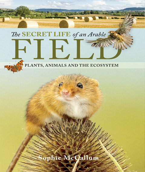 The Secret Life of an Arable Field 