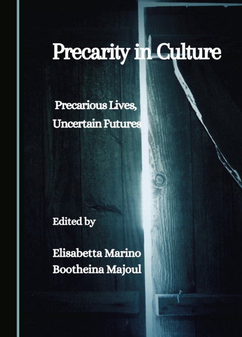Cover image for book Precarity in Culture