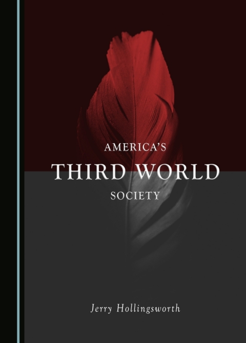 Cover image for book America's Third World Society