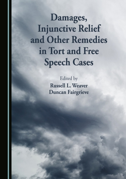 Cover image for book Damages, Injunctive Relief, and Other Remedies in Tort and Free Speech Cases