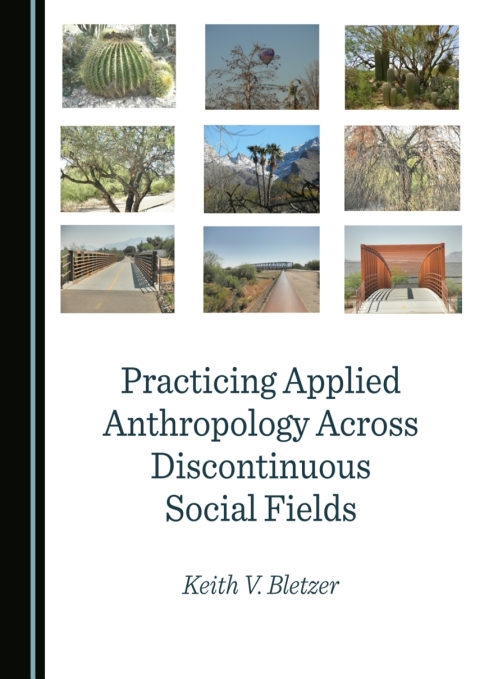 Cover image for book Practicing Applied Anthropology Across Discontinuous Social Fields