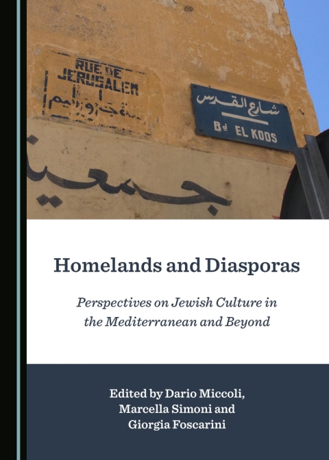 Cover image for book Homelands and Diasporas