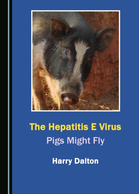 Cover image for book The Hepatitis E Virus