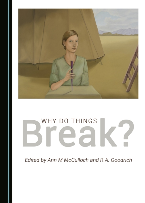 Cover image for book Why Do Things Break?