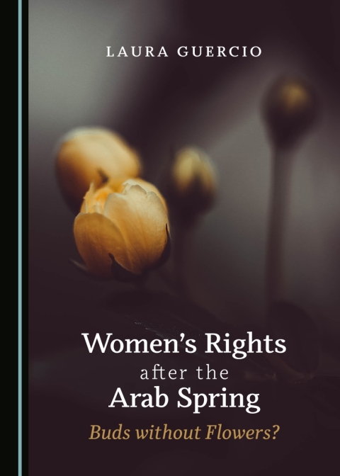 Cover image for book Women’s Rights after the Arab Spring