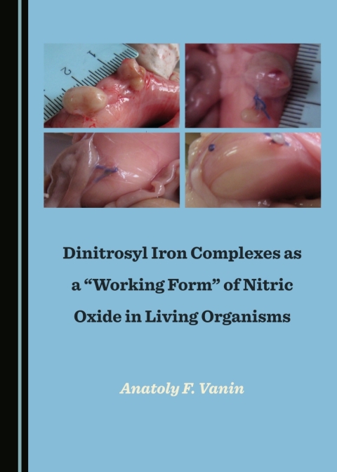 Cover image for book Dinitrosyl Iron Complexes as a “Working Form” of Nitric Oxide in Living Organisms
