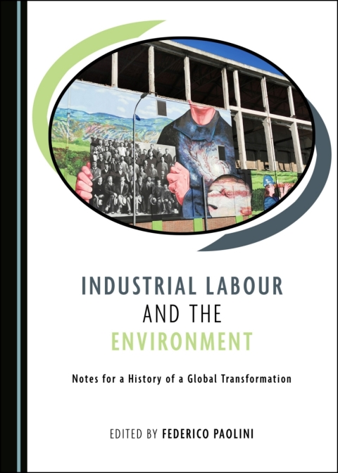 Cover image for book Industrial Labour and the Environment