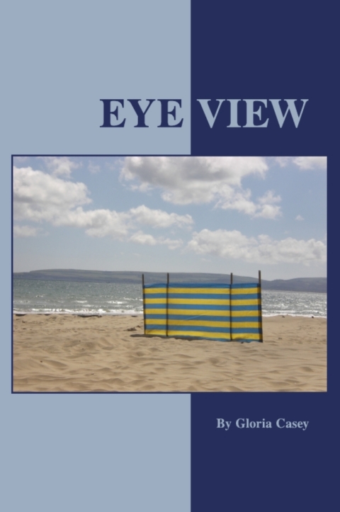 Cover image for book Eye View