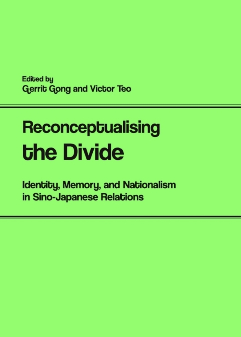 Cover image for book Reconceptualising the Divide