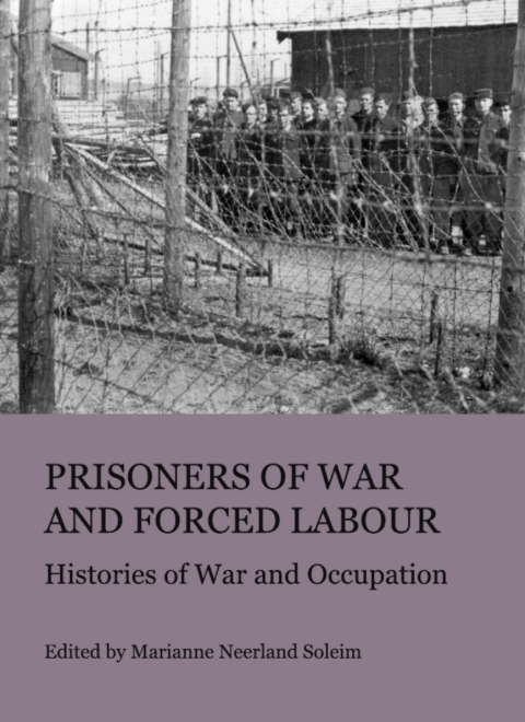 Cover image for book Prisoners of War and Forced Labour