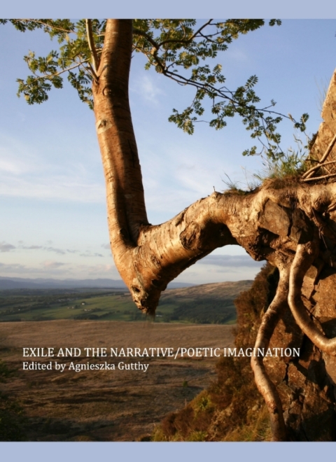 Cover image for book Exile and the Narrative/Poetic Imagination
