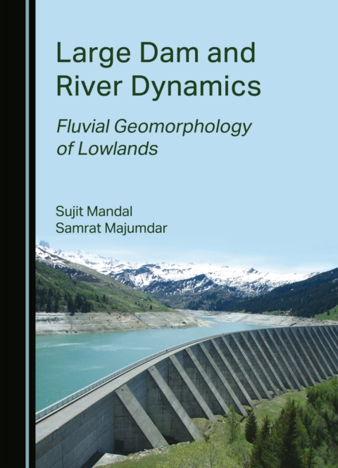 Cover image for book Large Dam and River Dynamics