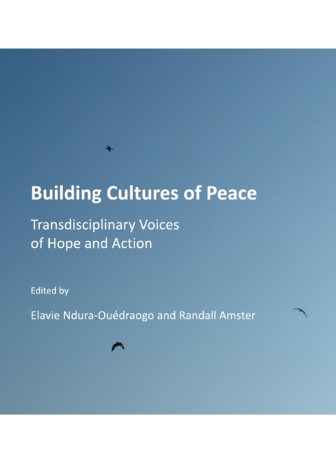 Cover image for book Building Cultures of Peace