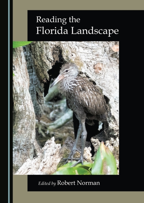 Cover image for book Reading the Florida Landscape
