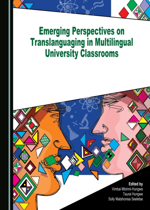 Cover image for book Emerging Perspectives on Translanguaging in Multilingual University Classrooms