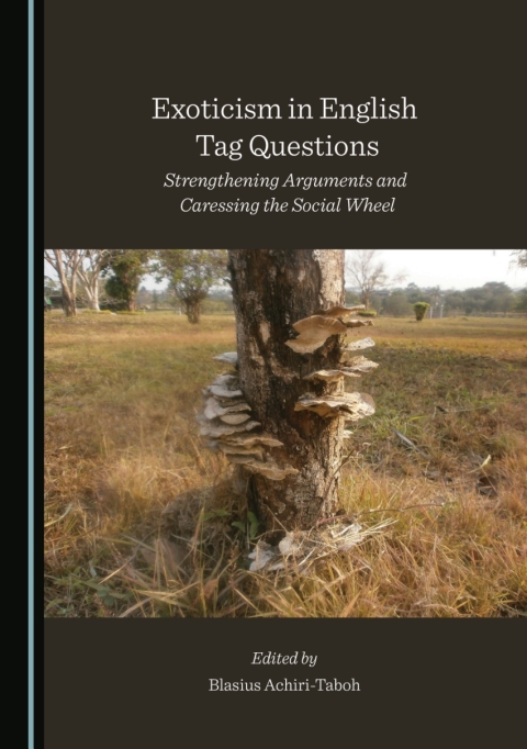 Cover image for book Exoticism in English Tag Questions