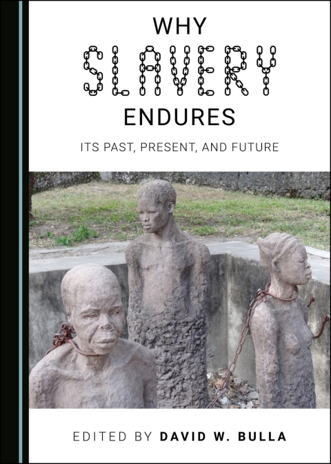 Cover image for book Why Slavery Endures