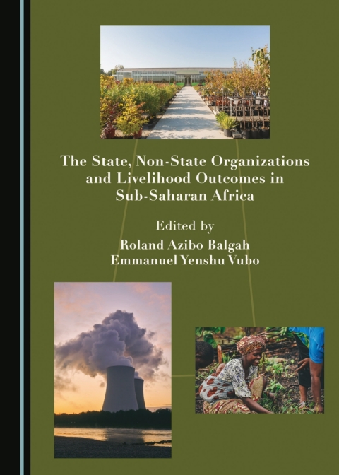 Cover image for book The State, Non-State Organizations and Livelihood Outcomes in Sub-Saharan Africa