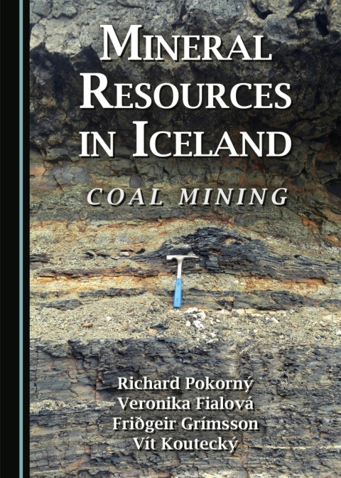 Cover image for book Mineral Resources in Iceland