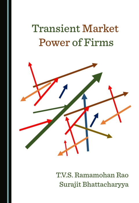 Cover image for book Transient Market Power of Firms
