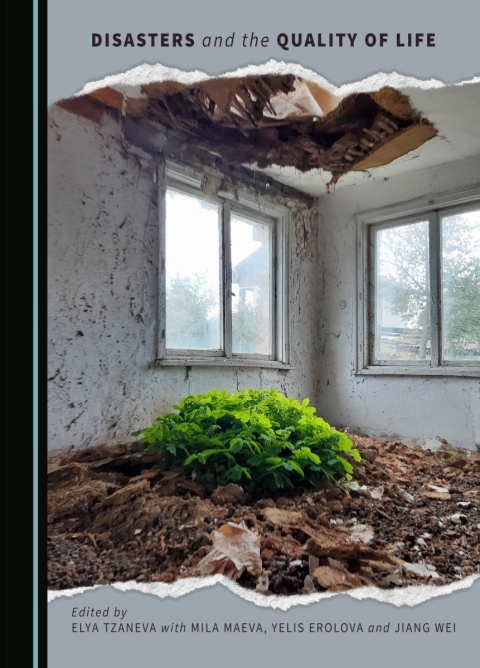 Cover image for book Disasters and the Quality of Life