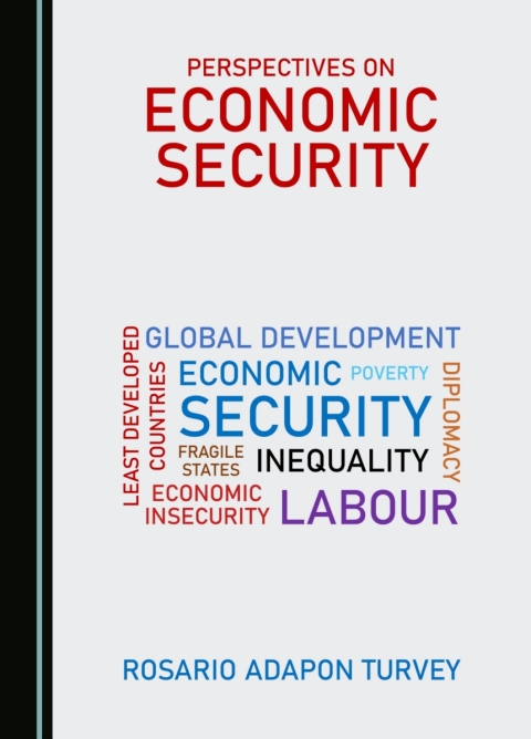 Cover image for book Perspectives on Economic Security