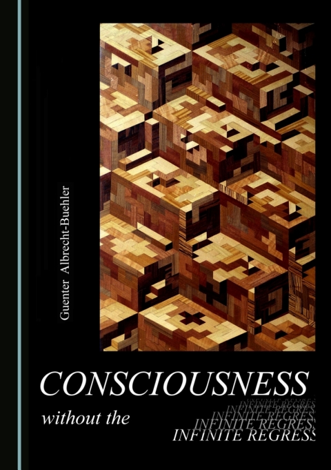 Cover image for book Consciousness without the Infinite Regress