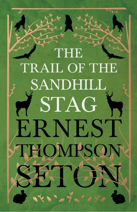 Cover image for book The Trail of the Sandhill Stag