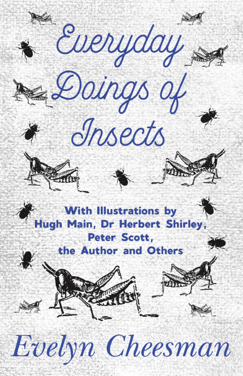 Cover image for book Everyday Doings of Insects - With Illustrations by Hugh Main, Dr Herbert Shirley, Peter Scott, the Author and Others