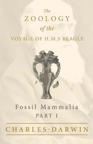 Fossil Mammalia - Part I - The Zoology of the Voyage of H.M.S Beagle