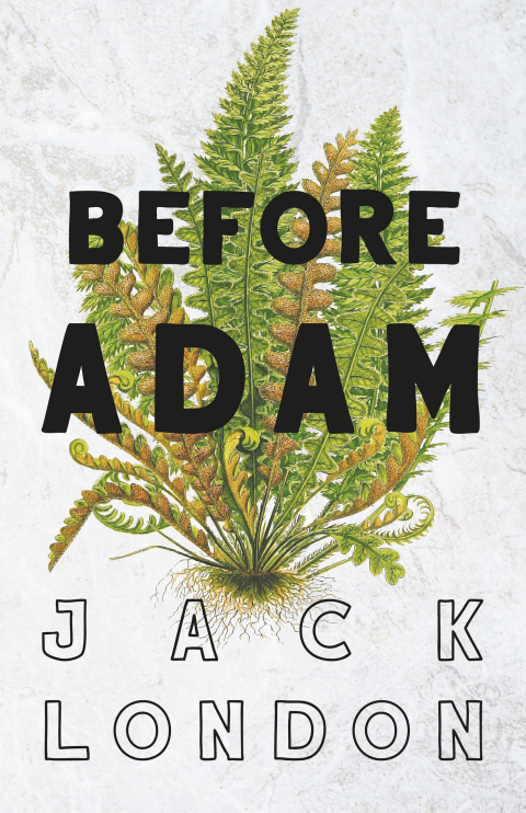 Cover image for book Before Adam