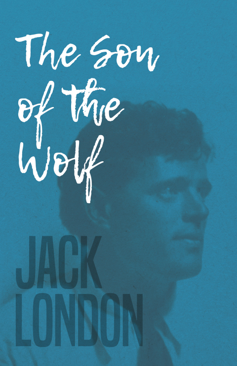Cover image for book The Son of the Wolf