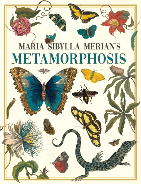 Cover image for book Maria Sibylla Merian's Metamorphosis