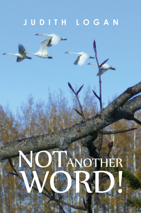 Cover image for book Not Another Word!