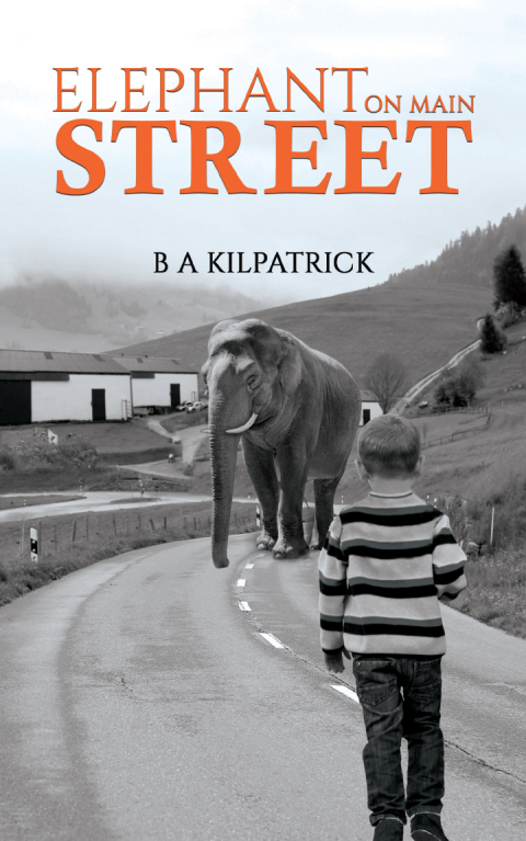 Cover image for book Elephant on Main Street